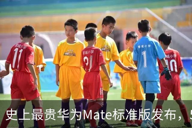 史上最贵华为Mate标准版发布，5999元起售！大幅提价的背后配置够硬吗？