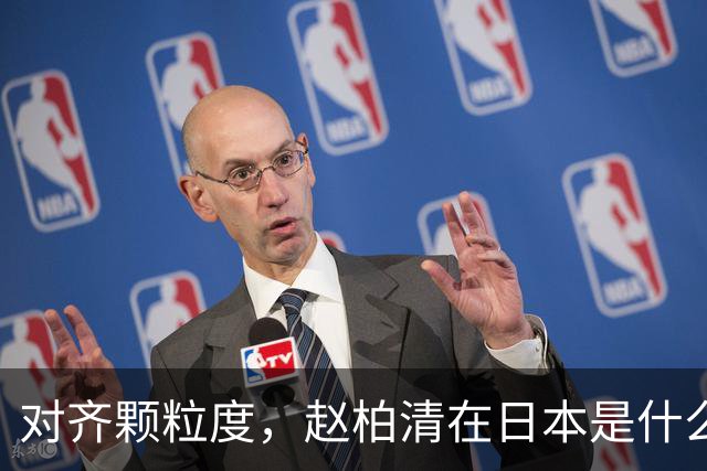 对齐颗粒度，赵柏清在日本是什么水平？