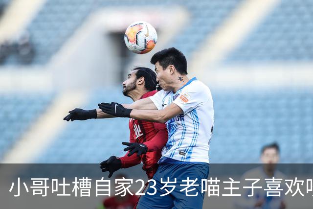 小哥吐槽自家23岁老喵主子喜欢咬人，网友一句话让他泪崩：咪只是想像小时候一样和你玩