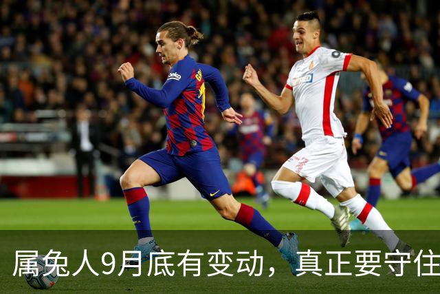 属兔人9月底有变动，真正要守住的是这三件事