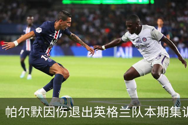 帕尔默因伤退出英格兰队本期集训