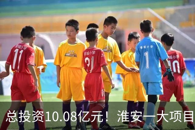 总投资10.08亿元！淮安一大项目12月底投产