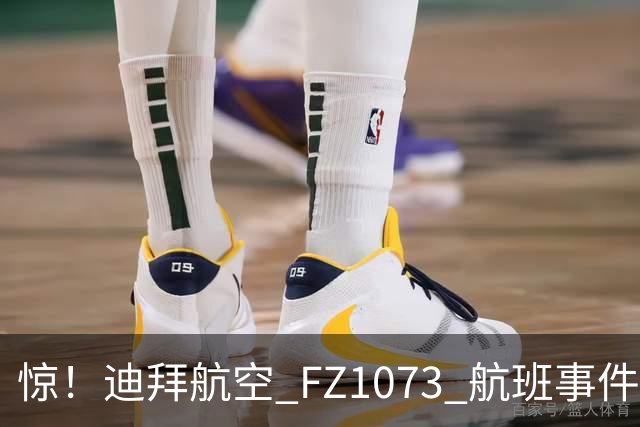惊！迪拜航空 FZ1073 航班事件，行凶副驾被绑跪登机口画面曝光