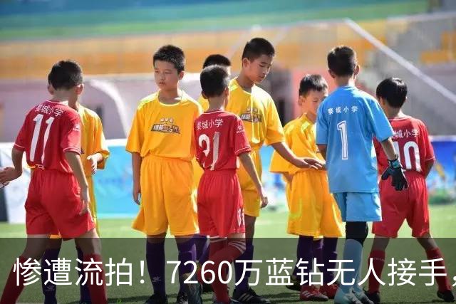 惨遭流拍！7260万蓝钻无人接手，西方拿河南钻开刀：全面禁止