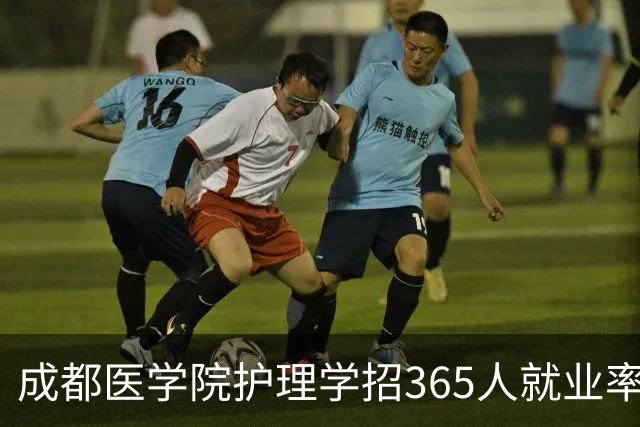 成都医学院护理学招365人就业率96%，2026扩100人却缩省外，核心专业在换血吗