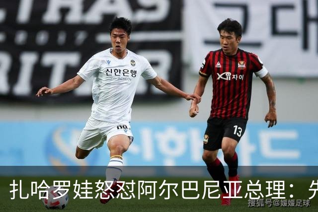 扎哈罗娃怒怼阿尔巴尼亚总理：先管好自家事，别甩锅俄罗斯