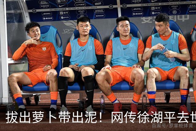 拔出萝卜带出泥！网传徐湖平去世，竟再次将南京博物院给拉下水