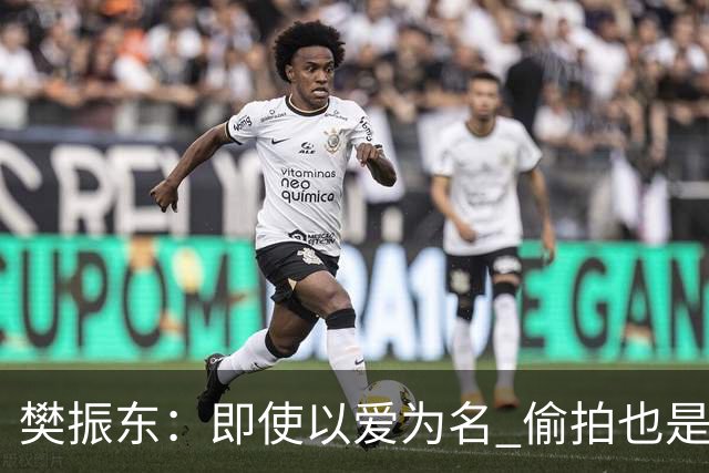 樊振东：即使以爱为名 偷拍也是侵犯他人隐私