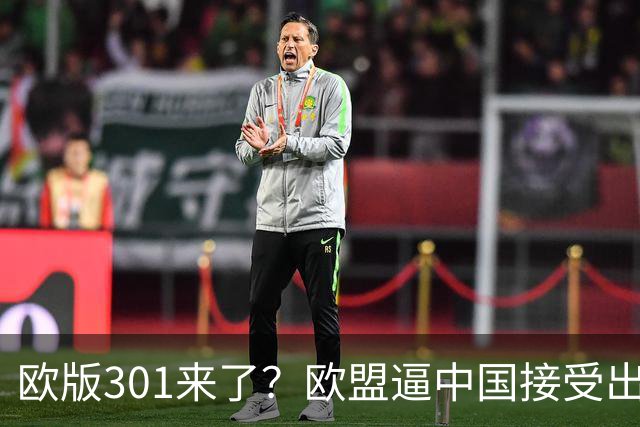 欧版301来了？欧盟逼中国接受出口配额：24小时内可切断中欧贸易