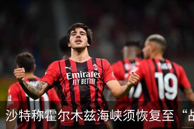沙特称霍尔木兹海峡须恢复至“战前状态”
