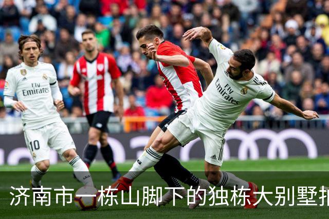济南市一栋山脚下的独栋大别墅拍卖，被人底价938万元就竞得