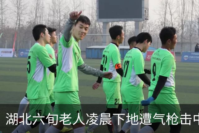 湖北六旬老人凌晨下地遭气枪击中身亡，男子自首：误将老人当成猎物；家属：当天是中秋节，老人原本要与女儿们团聚；警方：正在调查处理