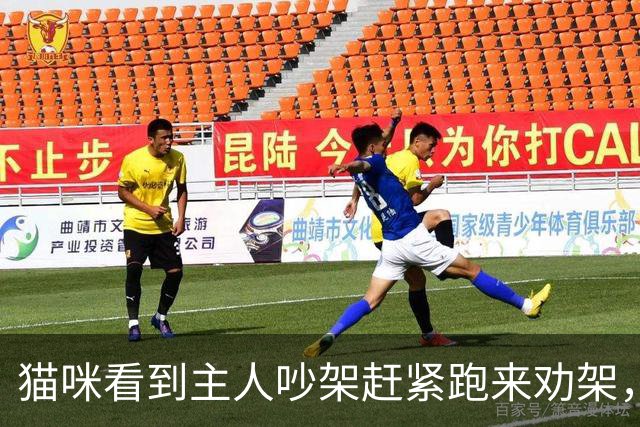 猫咪看到主人吵架赶紧跑来劝架，结果下一秒被扭送卫生间，喵：我以后绝不会再管你们那点破事！