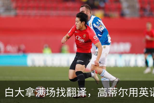 白大拿满场找翻译，高蒂尔用英语答完了他还在找