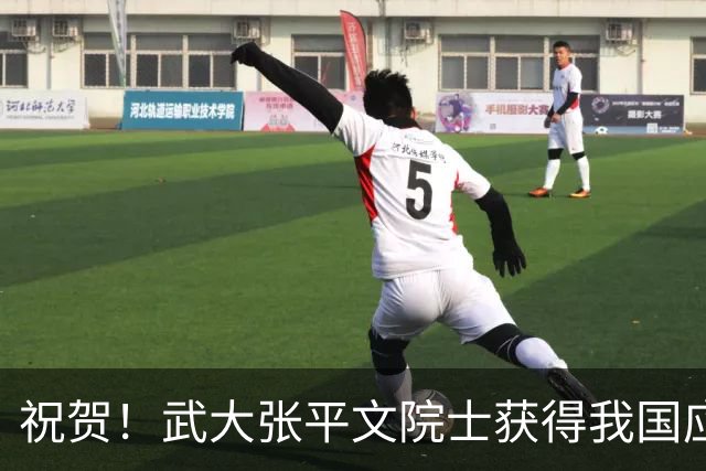 祝贺！武大张平文院士获得我国应用数学领域最高荣誉