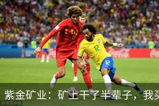 紫金矿业：矿上干了半辈子，我买金矿当存钱
