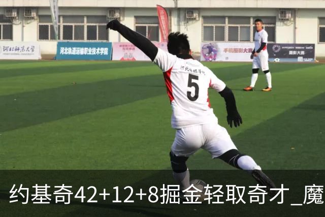 约基奇42+12+8掘金轻取奇才 魔术送热火3连败