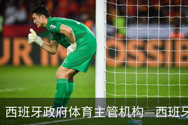 西班牙政府体育主管机构—西班牙体育理事会主席公开要求西甲主席特瓦斯，向皇马道歉