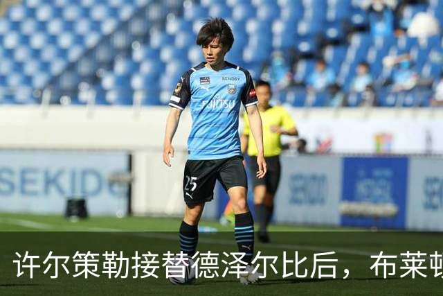 许尔策勒接替德泽尔比后，布莱顿的预期与现实