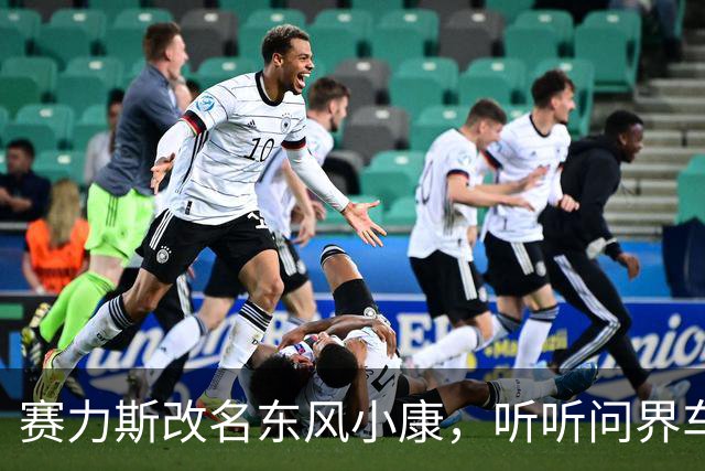 赛力斯改名东风小康，听听问界车主都是怎么看待这件事