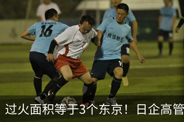 过火面积等于3个东京！日企高管引燃边境草原大火，日媒集体沉默