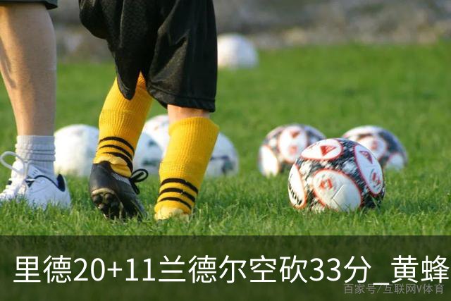 里德20+11兰德尔空砍33分 黄蜂险胜篮网