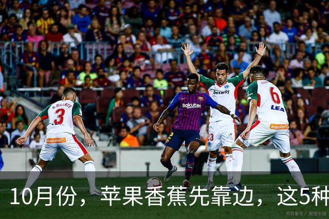 10月份，苹果香蕉先靠边，这5种“黄金果”正当时，香甜多汁，润燥又养人，别不舍得吃！